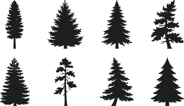 Black pine trees and fir tree silhouettes vector collection featuring forest and nature elements
