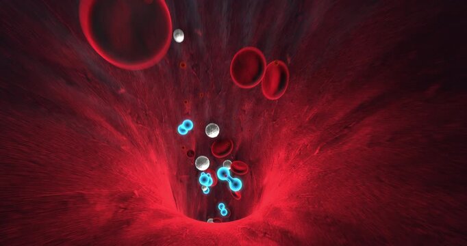 3D render of red blood cells flowing in vein with oxygen molecules seamless loop. Science And Health Related 3D Animation.
