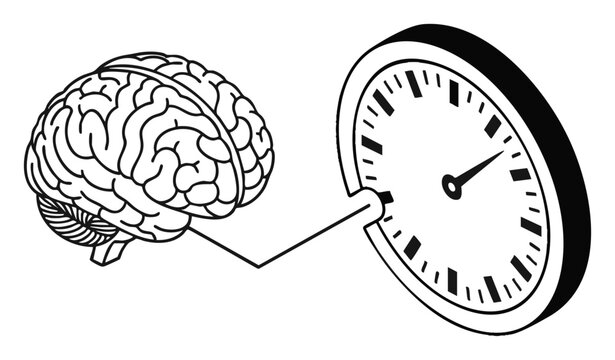 Detailed line art brain illustration connected to minimalist clock face, concept for time management, cognitive science, and productivity enhancement, ideal for educational materials, psychology