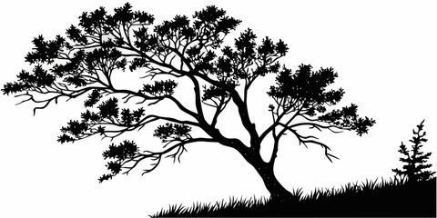 Fototapeta premium Black tree silhouette with dense foliage against white background, isolated