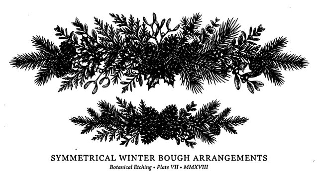Hand drawn botanical winter bough arrangements with pine cones and evergreen needles in ink style