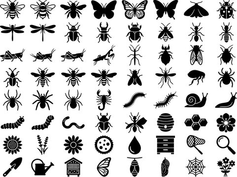Insects, garden bugs, pollinators, larvae and beekeeping black silhouette vector icon collection with flowers and habitat symbols