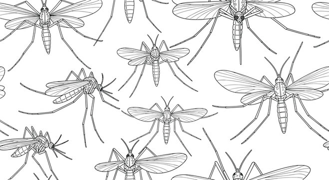 Intricate monochrome seamless pattern of hand drawn mosquito insects isolated on a plain white background for vector design.