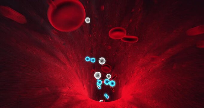 Seamless looping animation of human blood stream with red blood cells and oxygen. Science And Health Related 3D Animation.