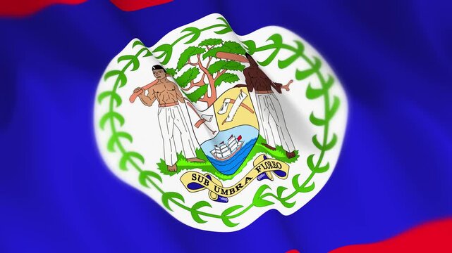 Belize Flag Seamless Loop 4k 60fps Animation