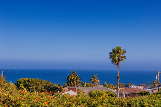 Pacific Ocean views from a hill in San Pedro California, USA