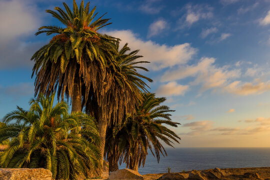 Coastal senic features of Rancho Pallas Verdes, California, USA