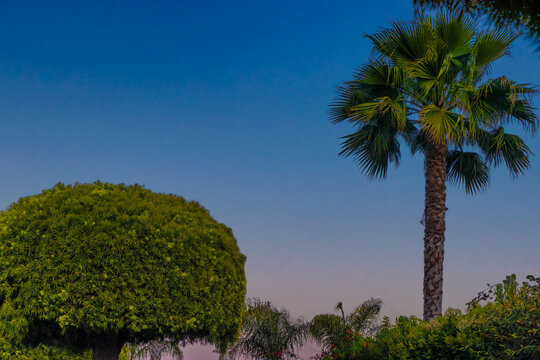 Coastal senic features of Rancho Pallas Verdes, California, USA