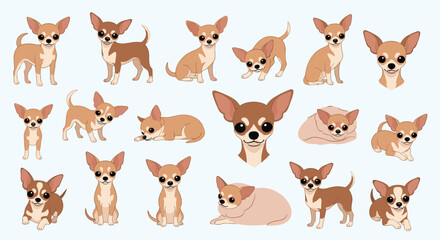 Fototapeta premium Set of many adorable chihuahua dog illustrations showing different poses and emotions on a light blue background.