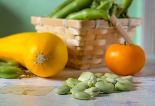 Fresh shelled fava beans, yellow squash, and a tomato on a table with a harvest basket