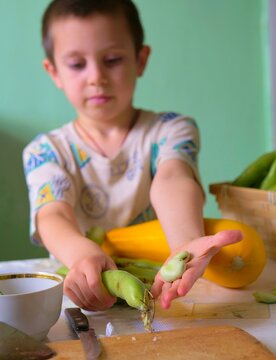 child's hands opening a fresh fava bean pod to reveal the beans inside