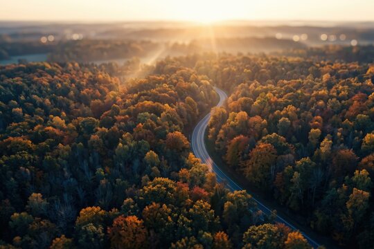 Autumn Forest Aerial View - Colorful Fall Landscape