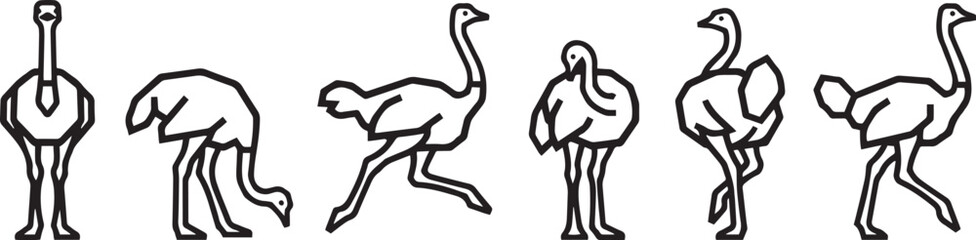 Fototapeta premium Set of ostriches. Hand drawn vector illustration