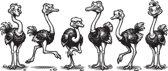 Fototapeta premium Set of ostriches. Hand drawn vector illustration