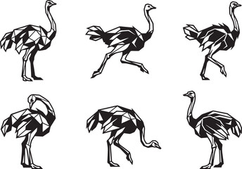 Fototapeta premium Set of ostriches. Hand drawn vector illustration