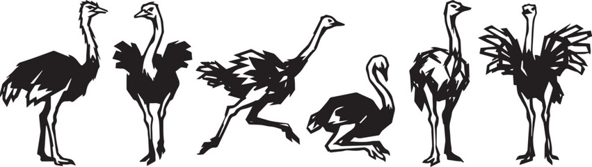 Fototapeta premium Set of ostriches. Hand drawn vector illustration