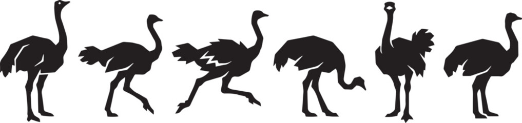 Fototapeta premium Set of ostriches. Hand drawn vector illustration
