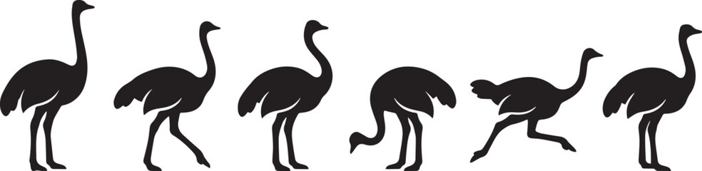 Fototapeta premium Set of ostriches. Hand drawn vector illustration