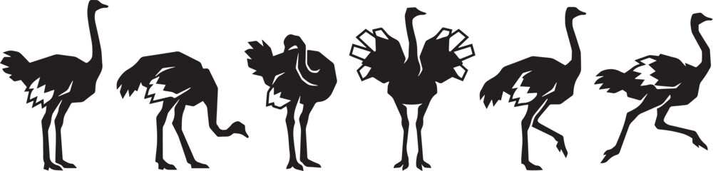Fototapeta premium Set of ostriches. Hand drawn vector illustration