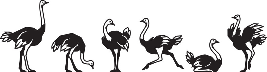 Fototapeta premium Set of ostriches. Hand drawn vector illustration