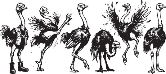 Fototapeta premium Set of ostriches. Hand drawn vector illustration