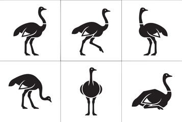 Fototapeta premium Set of ostriches. Hand drawn vector illustration
