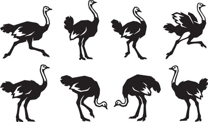 Fototapeta premium Set of ostriches. Hand drawn vector illustration