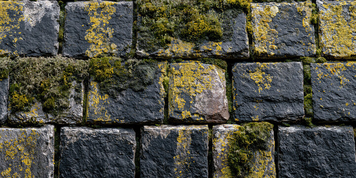 Weathered Stone Wall with Moss and Lichen Growth