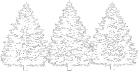 Row of three coniferous evergreen pine trees outline illustration isolated on transparent background for forest design © NT VIDEO