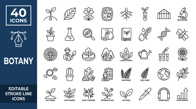 Botany Line Icons Vector Collection Featuring Plant Science Biology Genetics Ecology Anatomy Taxonomy Physiology Growth Conservation Laboratory Editable Stroke Outline Graphic Design Representation