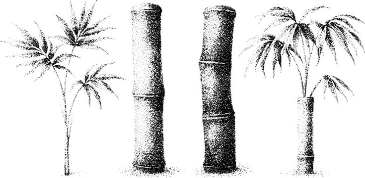 Black stipple tall bamboo stalks and feathery palmlike leaves set with segmented dot textures for botanical background and poster design