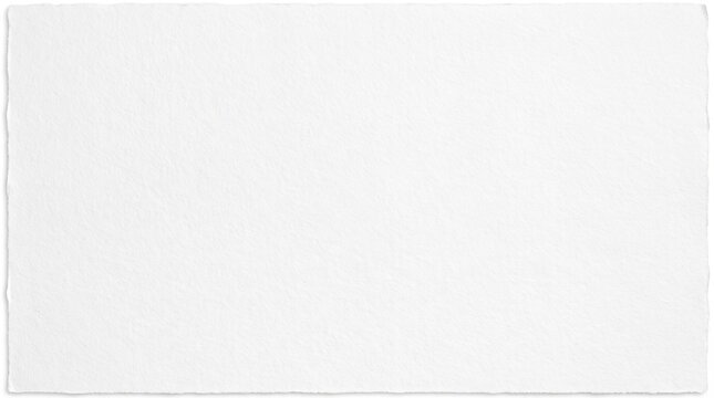 White Rough Watercolor Paper Sheet Surface Texture with Deckled Edge