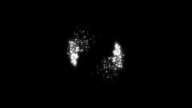 Stars glitter sparkle animation, luxury white fairy dust path, shimmering star particles, glowing bokeh lights, black screen visual effects, 4k