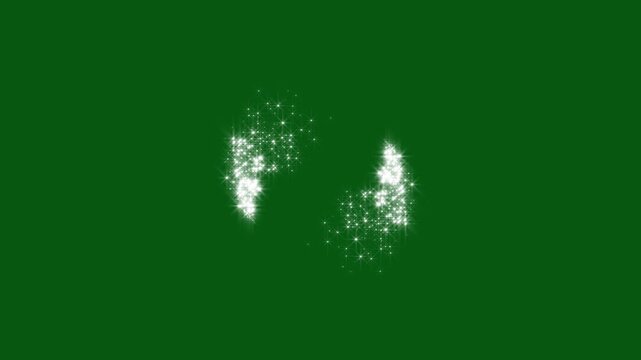 White glitter sparkles star trail animation, magical fairy dust, glowing bokeh lights, elegant pixie dust path, green screen visual effects, 4k