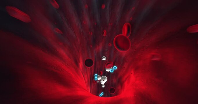 Red blood cells and white blood cells moving inside artery seamless 3D loop. Science And Health Related 3D Animation.