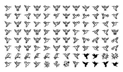 Hummingbird Flying Vector Illustration Editable Stroke Bird Collection © MD