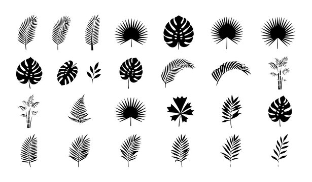 Tropical leaf silhouettes collection black and white botanical elements