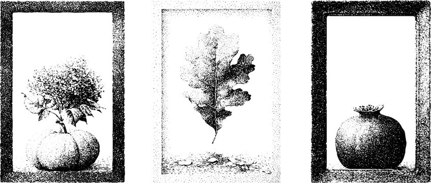 Stipple drawings of pumpkin, oak leaf and pomegranate in vintage frames for instagram story background and seasonal layout