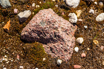 Massive pink granite boulder protruding from the textured ground, covered with patches of vibrant green moss and surrounded by small scattered pebbles in a natural wild setting © PhotoChur