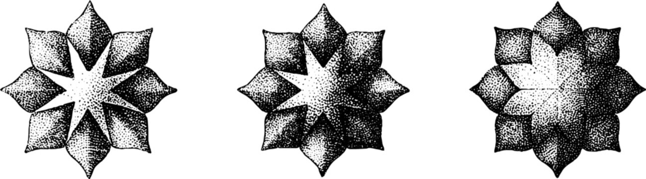 Moroccan zellij mosaic star pattern set in black and white for ornamental tile design and decorative background or surface pattern use