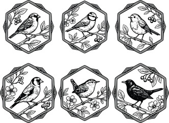 Vintage songbirds and floral branches in octagonal frames sketch vector icon set containing sparrow, tit, robin, goldfinch, wren, and blackbird linocut illustrations. © ARNIKA ISLAM