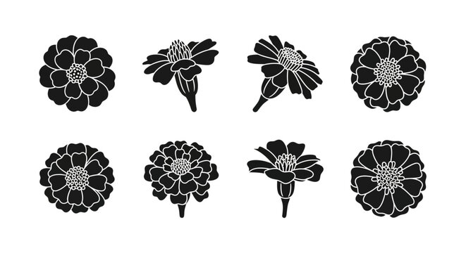 Marigold and zinnia flower head silhouettes.