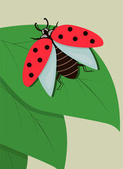 A beetle is perched on a leaf