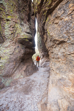 Chiricahua
