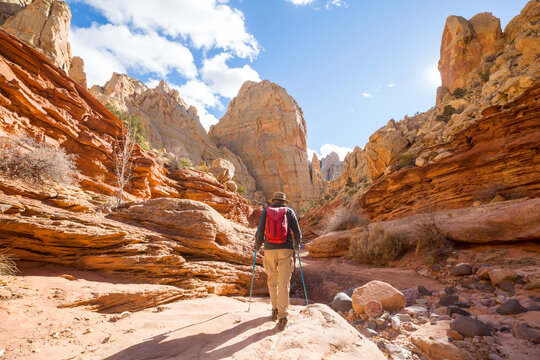 Hike in Capitol Reef