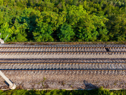 View of railway tracks running parallel to a forested area with trees