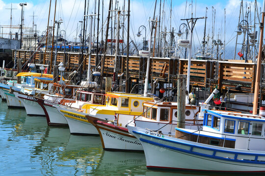San Francisco CA -  Colorful fishing boats in Fisherman's Wharf