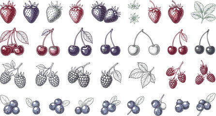 Hand drawn sketch berry icon set with vintage strawberry cherry raspberry blueberry and leaves for healthy food packaging design © Rofiqul