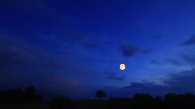 Full Moon on a twilight sky with landscape and tree silhouettes.
