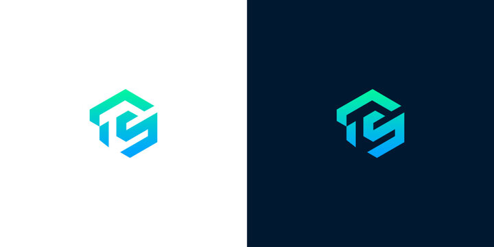 Modern hexagon logo with stylized letters 'TS' in blue and green gradient, abstract geometric design for business or technology brand identity